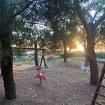 Il Piccolo